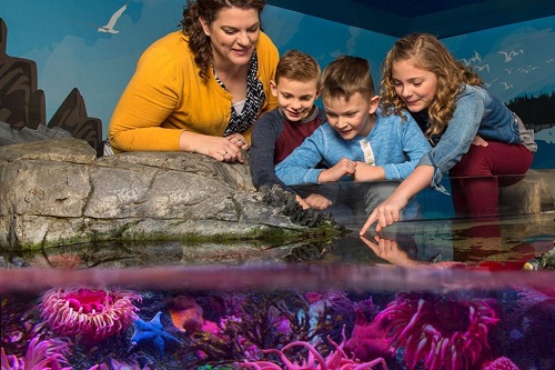 Sea Life Kansas City - 1 dia