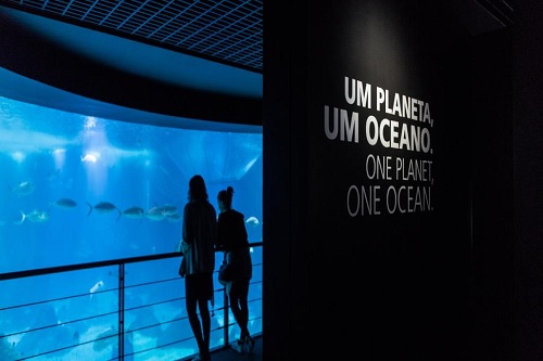 Oceanário de Lisboa - 1 dia