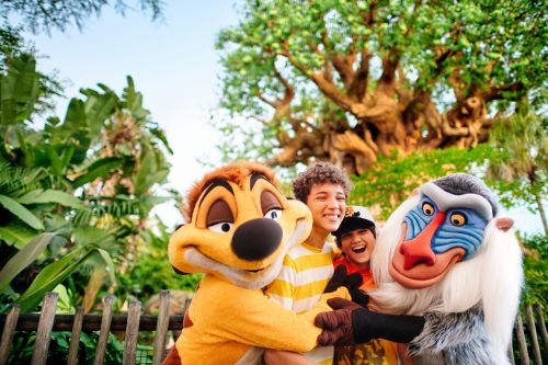 Walt Disney World Ingresso Promocional 6 dias Park Hopper® Option+ 2 Dias Grátis