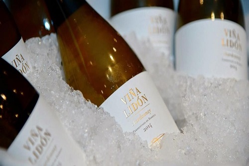 Degustação Exclusiva de Vinhos Valencianos